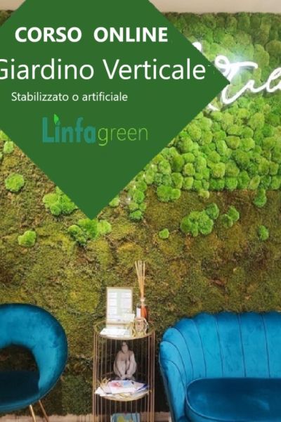Jardín vertical de curso profesional