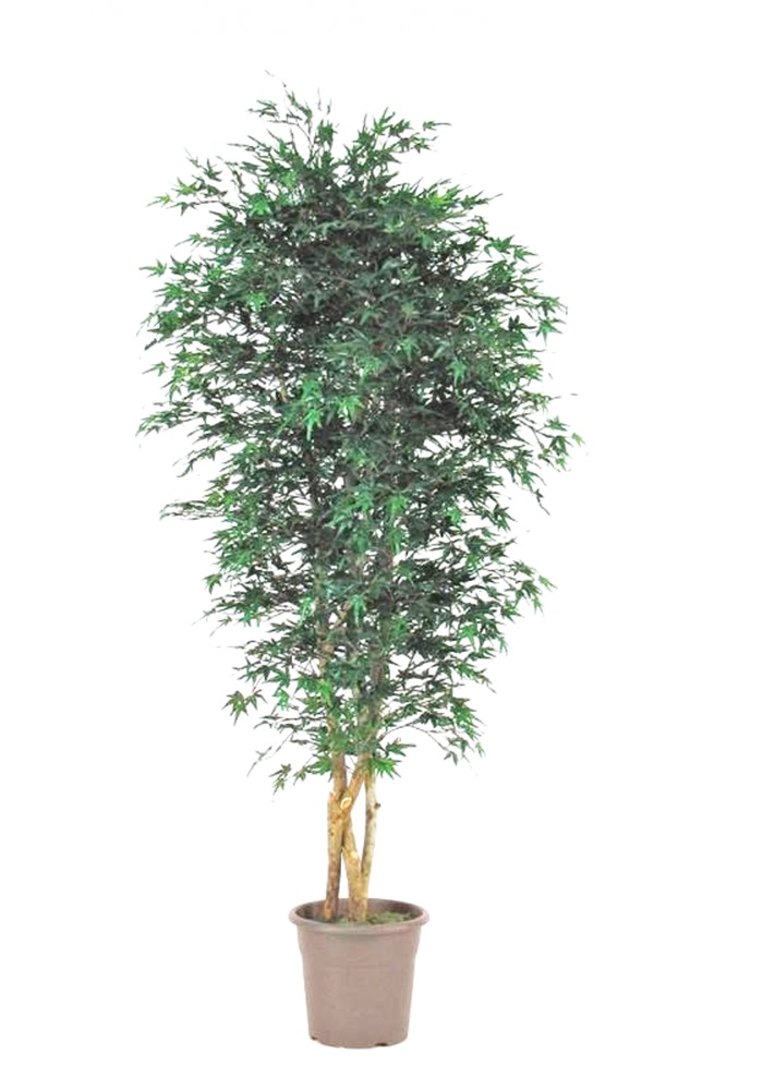 Pianta acero artificiale mini foglie verde multi tronco  - Varie altezze VE