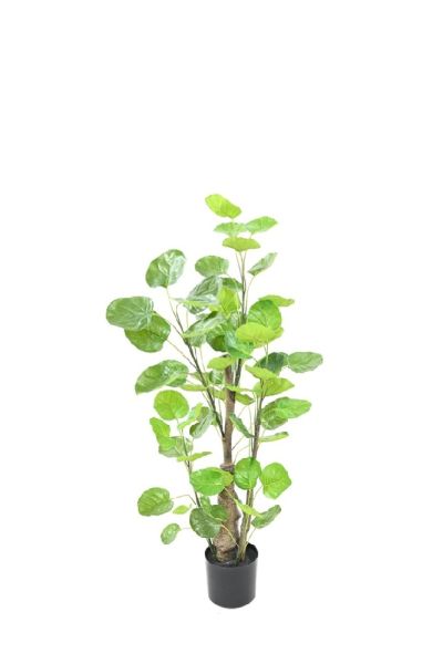 Pianta Aralia Fabian artificiale verde cm 90 H esp