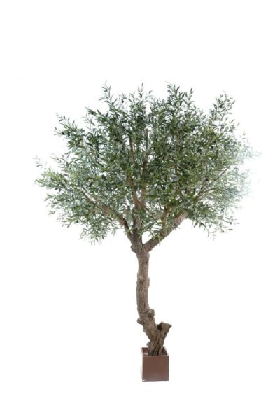 Pianta ulivo artificiale H 270 cm es
