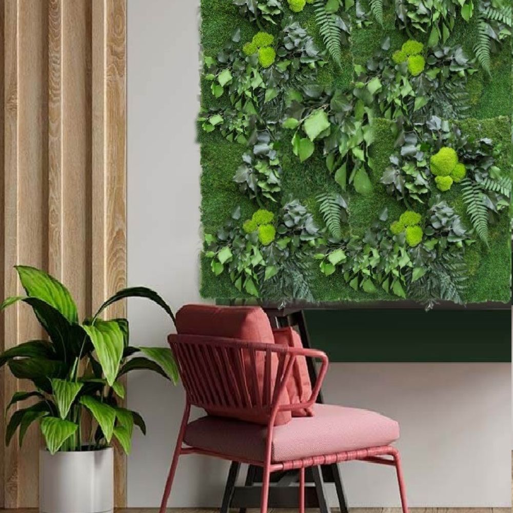 Verde Stabilizzato per Interni