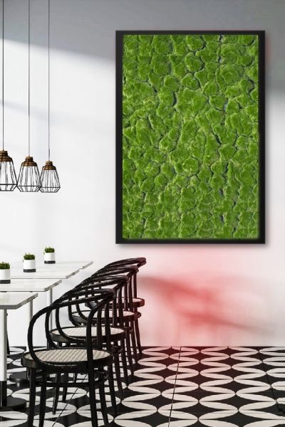 Quadro muschio polemoss artificiale