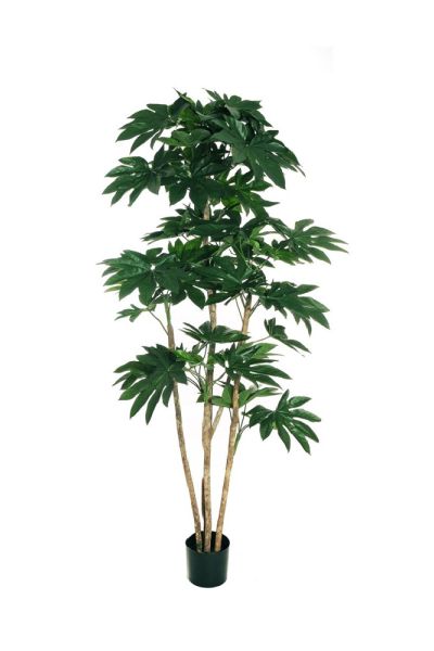 Pianta Aralia Fatsia Japonica artificiale verde varie altezze cm esp