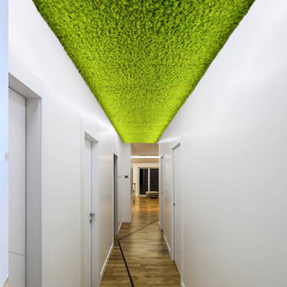 Soffitto-Lichene-stabilizzato-linfagreen