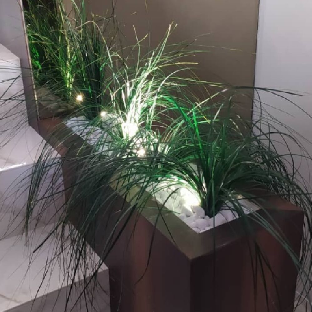 Jardineiras Linfagreen com plantas estabilizadas