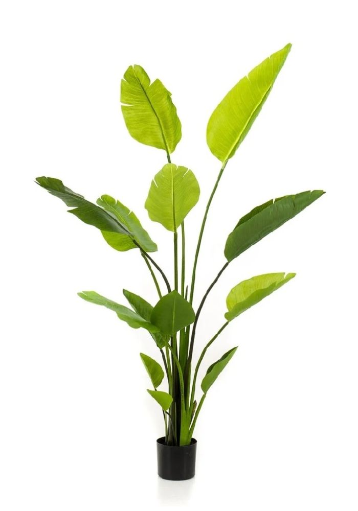 Palma artificiale Strelitzia nicolai H 235 - 180 - 150 cm EM