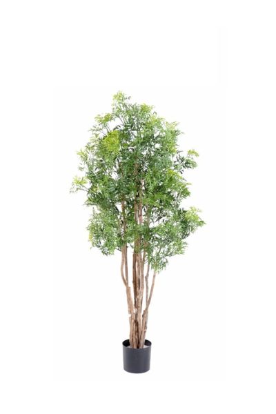 Pianta Aralia Ming Nitida artificiale verde varie altezze cm esp