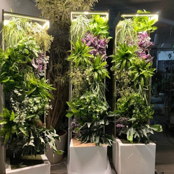 Vida Sustentável para Interiores e Exteriores