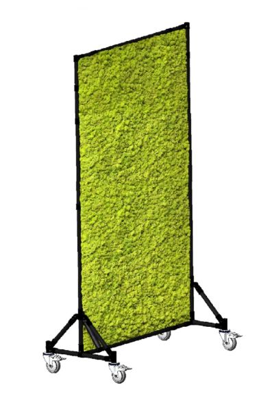 Pareti divisorie bifacciali lichene stabilizzato