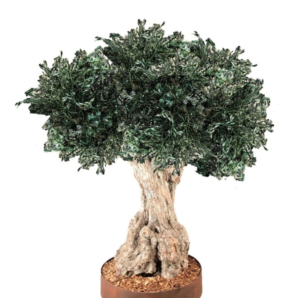 Árvores estabilizadas Linfagreen