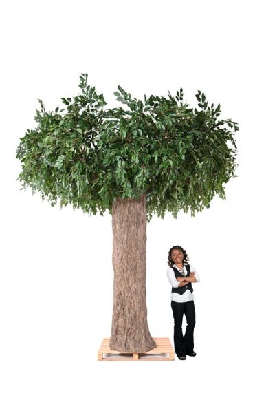 Albero artificiale Ficus Big Giant Bosco H 370 cm Esp