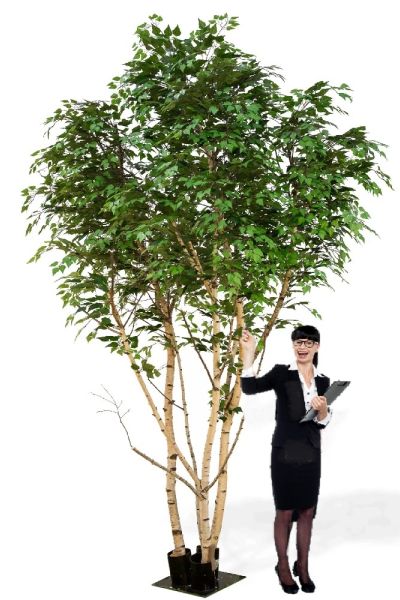 Albero artificiale Betulla Giant Bosco Piastra metallo varie misure VE