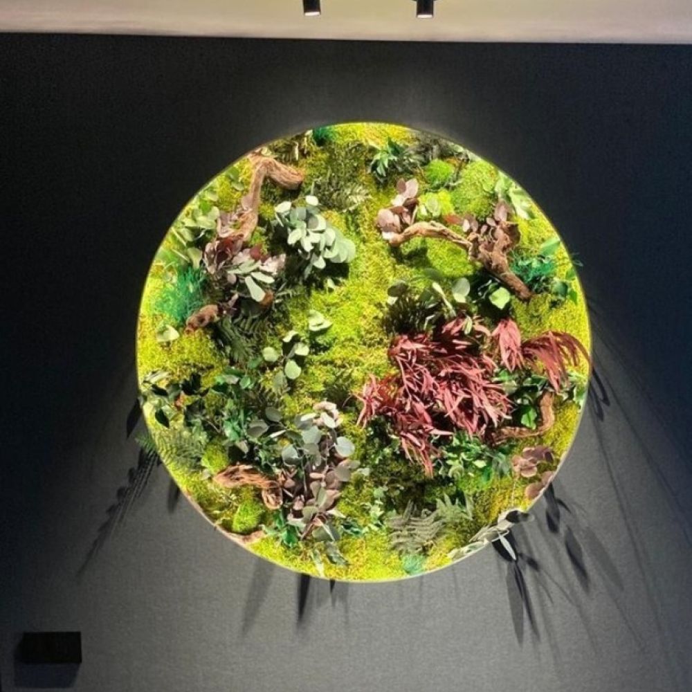 https://www.linfagreen.com/prodotti/verde-stabilizzato-per-interni/cornice-circolare-vegetali-stabilizzati