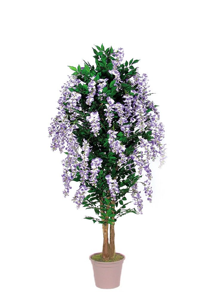 Pianta Glicine artificiale multi tronco varie altezze fiori Lavanda VE