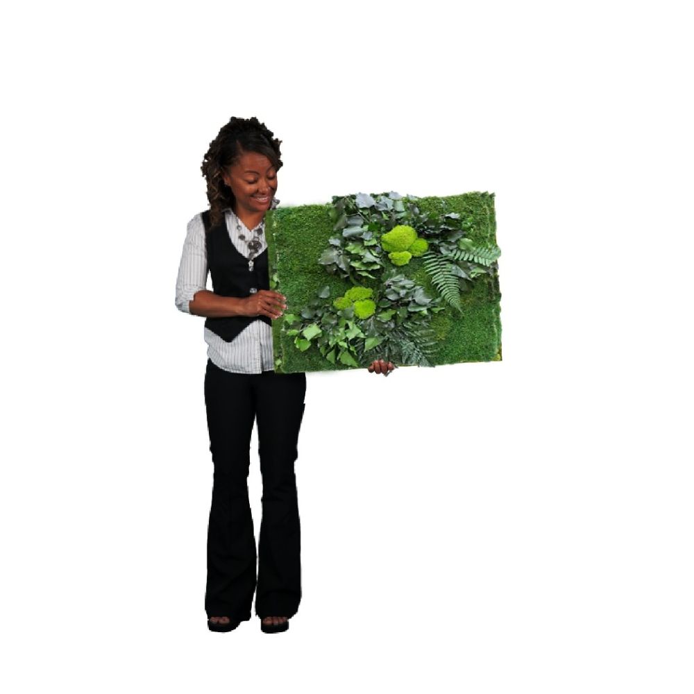 pannelli-decorativi-vegetali-stabilizzati-Linfagreen
