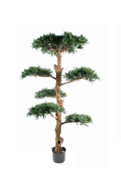 Pianta Podocarpus artificiale H 110  - H 150 - H 180 cm es