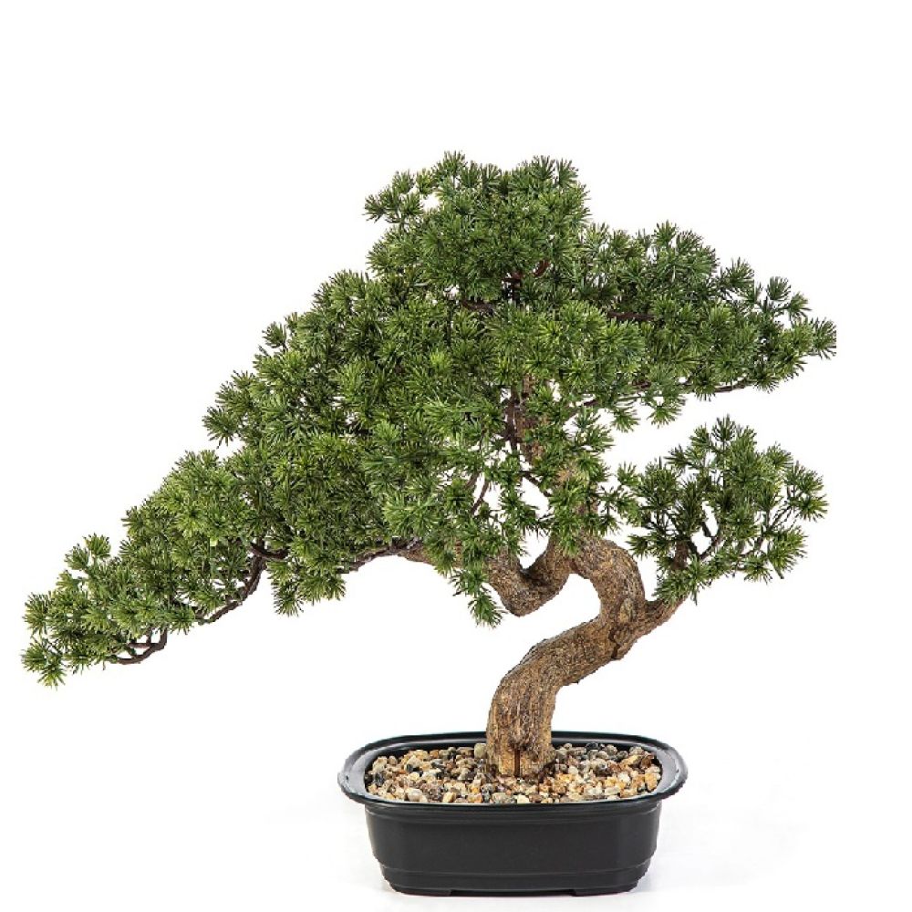 Bonsai artificial_Linfagreen