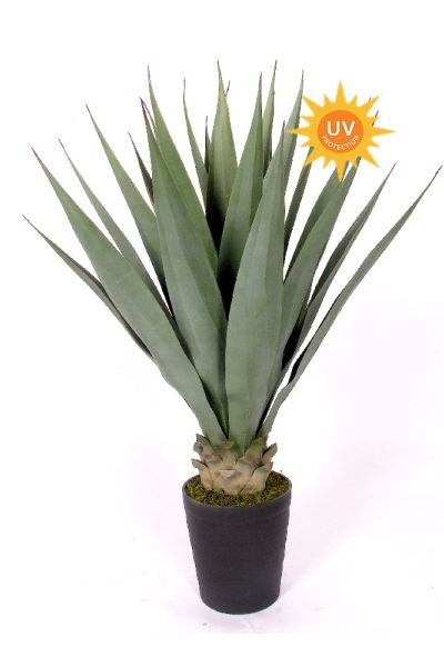 Pianta agave artificiale UVR H 100 cm VE