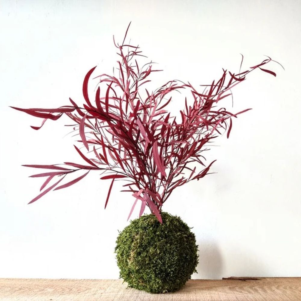 kokedama-stabilizzati-linfagreen