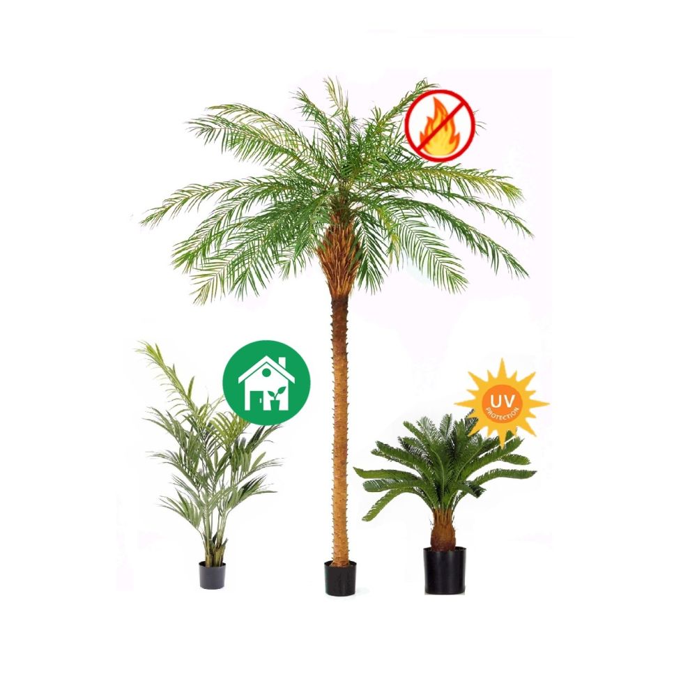 Palme-artificiali-Linfagreen