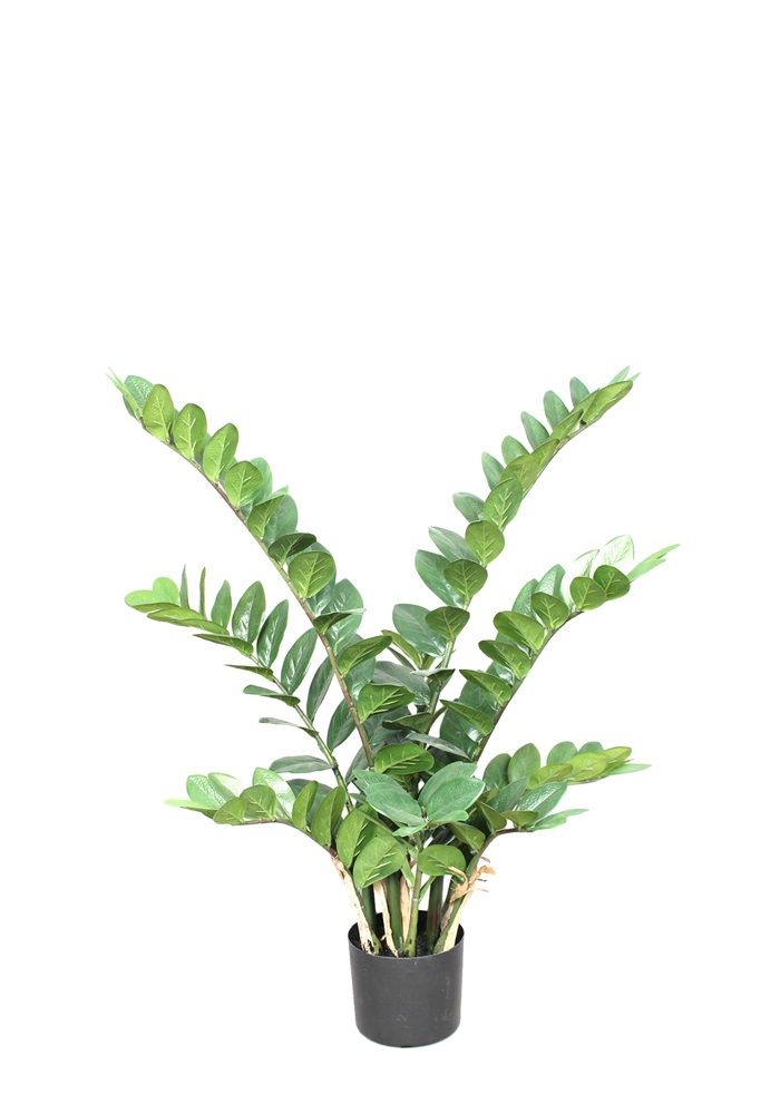 Planta de zamioculcas artificiales varias alturas ve