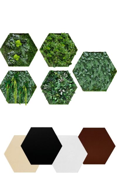 Marco hexagonal con follaje estabilizado