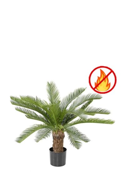 Plant de pompiers résistants aux cycas H 90S es