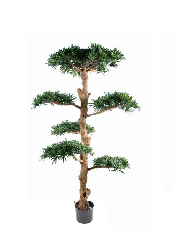 Pianta Podocarpus artificiale H 110  - H 150 - H 180 cm es