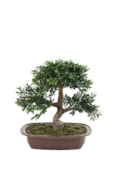 Bonsaï olive artificiel diverses mesures