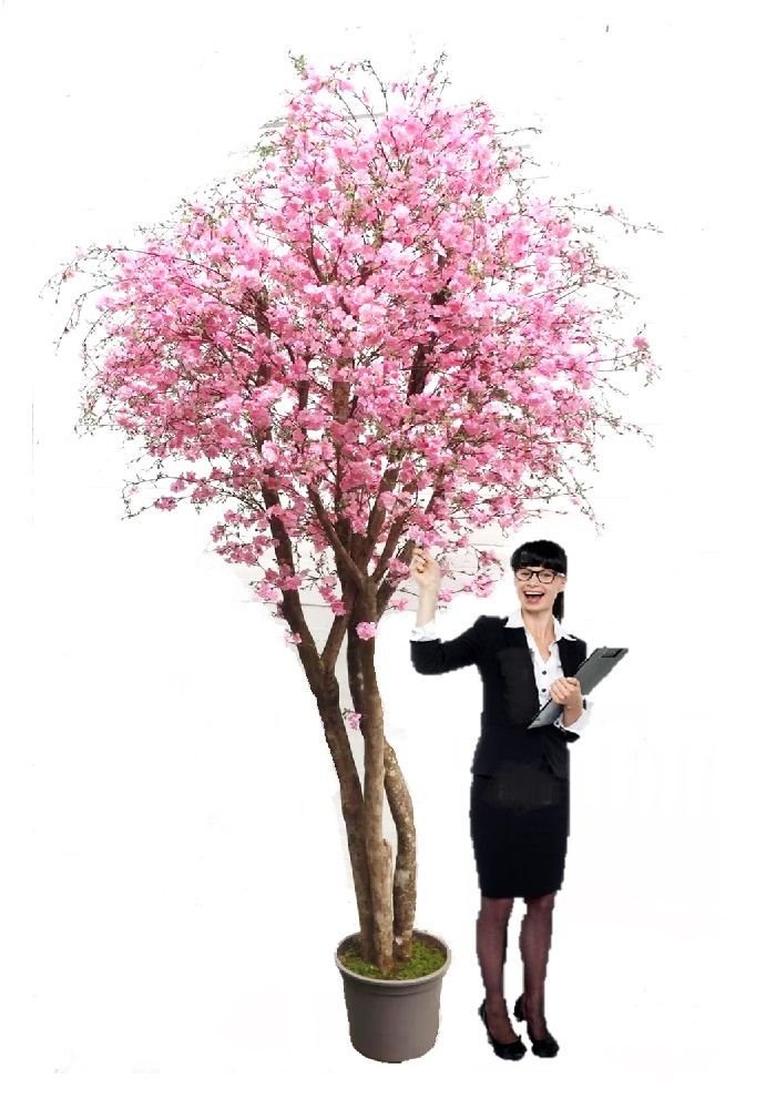 Plán umelých broskýň Multi -Trunk Pink Flower Rôzne výšky VE