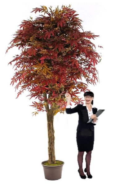 Giant red artificial maple tree various heights ve