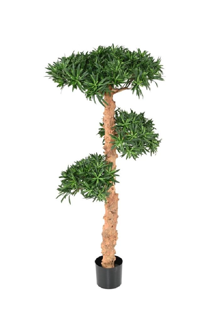 Pianta podocarpus artificiale nuvola H 110 -150 cm es