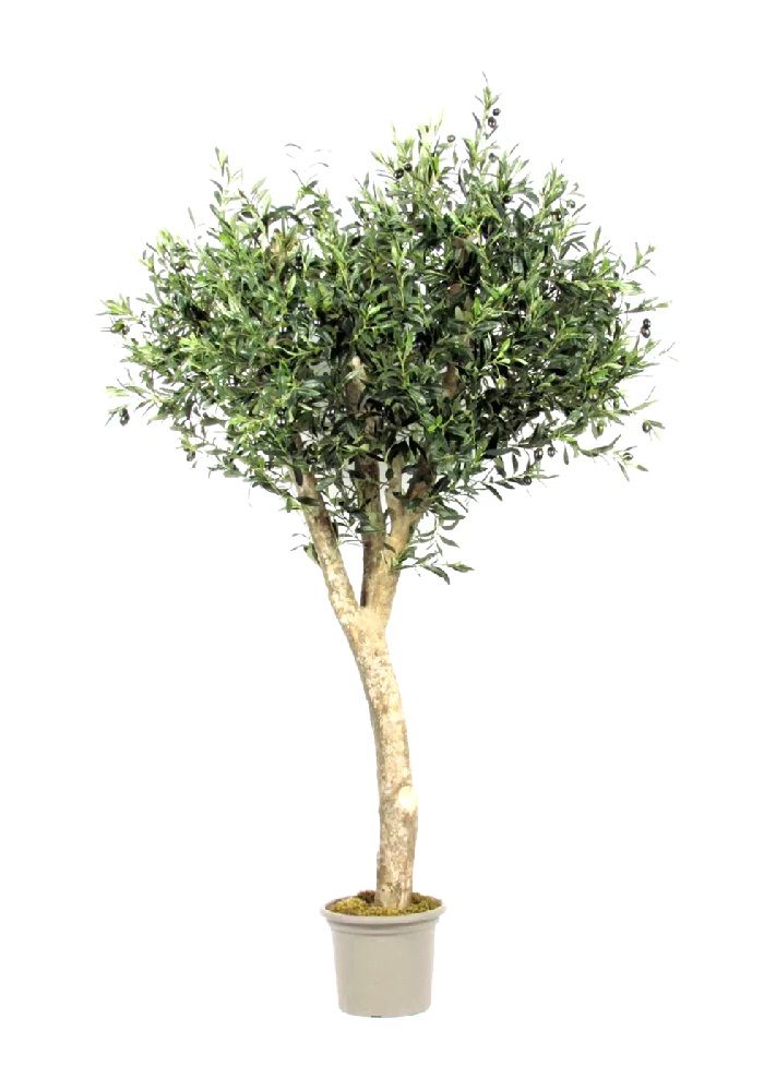 Planta de oliveira artificial Tronco Garde Várias medidas VE