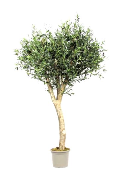 Olive artificiel Tronco Garde diverses tailles