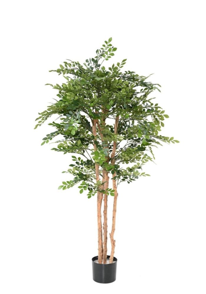 Pianta Acacia Robinia artificiale cm 170 ESP