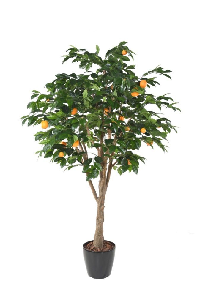 Pianta Arancio artificiale h 250 x 160 cm es