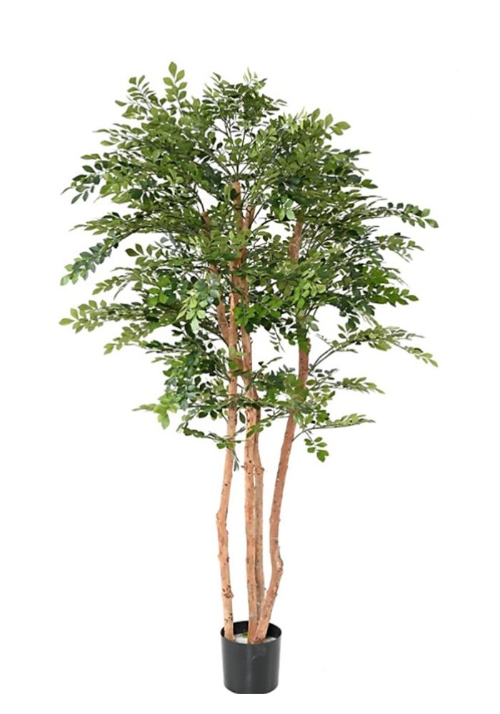 Acacia plante artificielle Robinia 200 cm espère