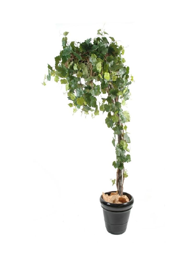 Pianta Vite artificiale curvo H 200 cm es